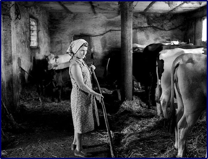 Vita agreste - portfolio 7.jpg